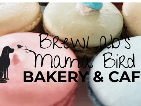 BrewLab's Mama Bird Bakery Inc.
