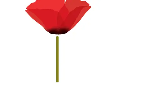 Red Poppy Cakery in Waterbury, VT