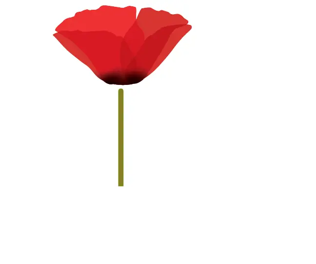 Red Poppy Cakery in Waterbury, VT