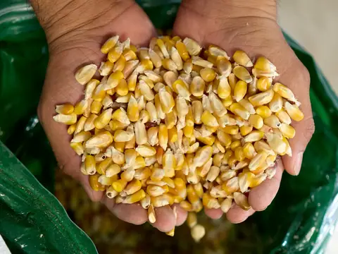 Tortilleria Hermanos Reyes