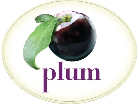 Plum Bakery Gluten Free in Montclair, NJ