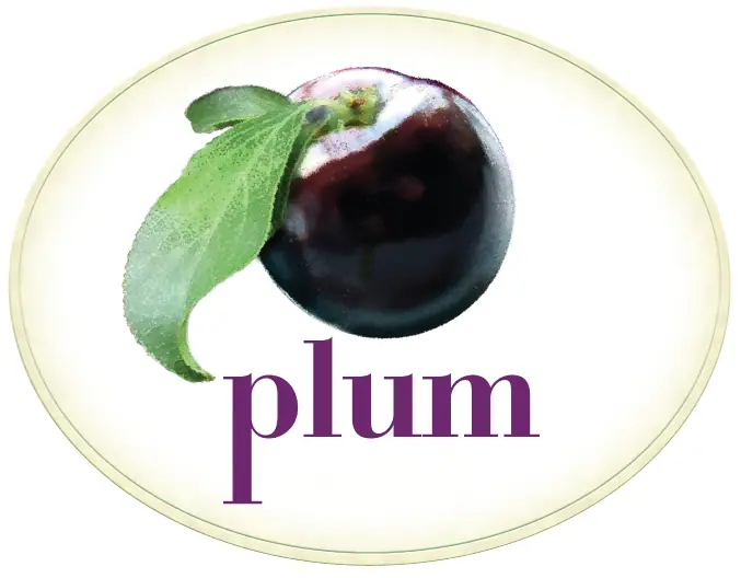 Plum Bakery Gluten Free in Montclair, NJ