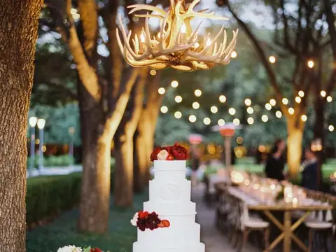Elena's Cakes in Dallas, TX