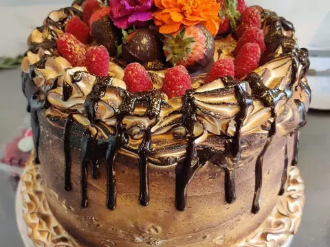Little Black Dog Bakery in Bloomington, IN