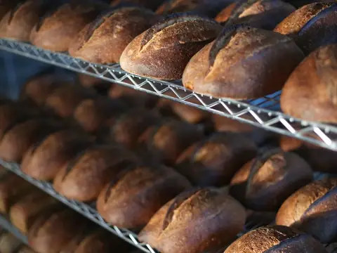 Blue Grouse Bread in Norwood, CO