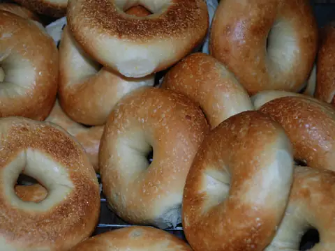 Bagel Oasis