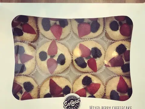 Earnest Donuts