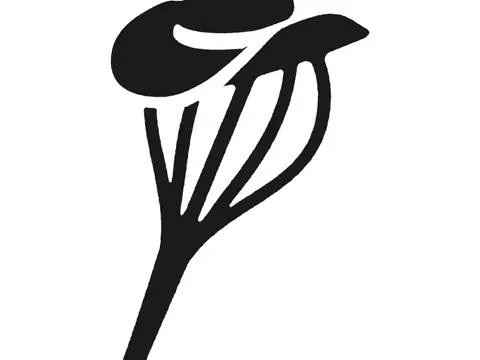 The Wild Whisk Bakery