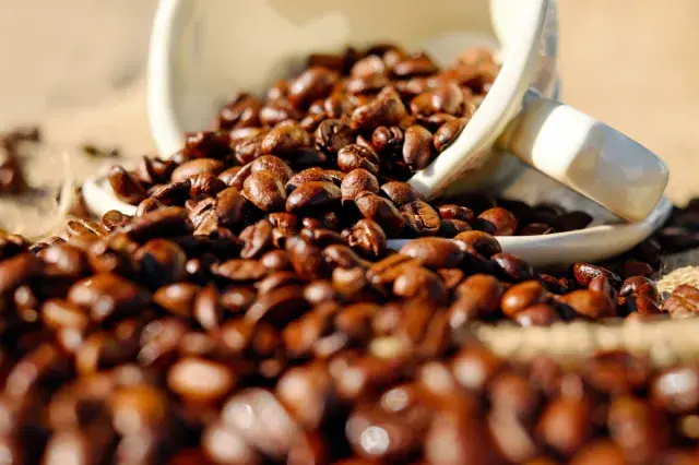 Pourfavor Coffee Shop in Suffolk, VA