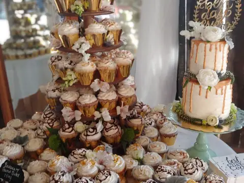 Babycakes Cupcakes in Lexington, KY