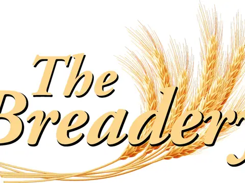 The Breadery in Catonsville, MD