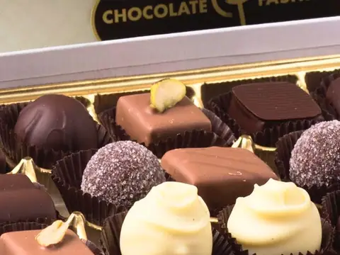 Chocolate Fashion in Coral Gables, FL