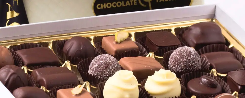 Chocolate Fashion in Coral Gables, FL
