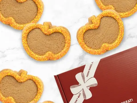 Gingerbread Construction Co