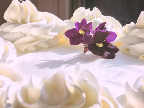 Violet's Bakery in Saugerties, NY