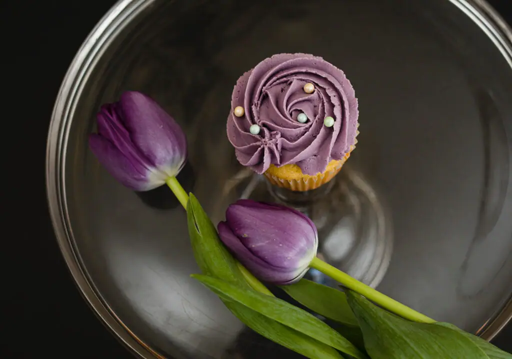 Curvy's Cupcakes & Confections in Brookfield, CT