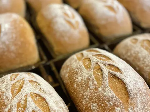 Great Harvest Bakery and Cafe in Idaho Falls, ID