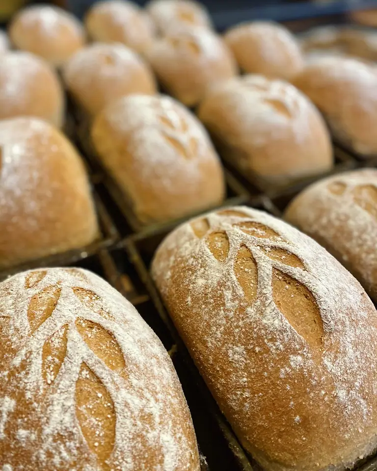 Great Harvest Bakery and Cafe in Idaho Falls, ID