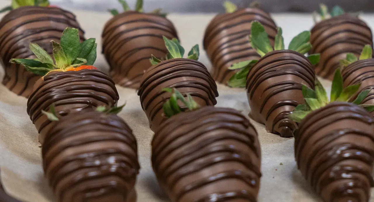 Rocky Mountain Chocolate in Erie, PA