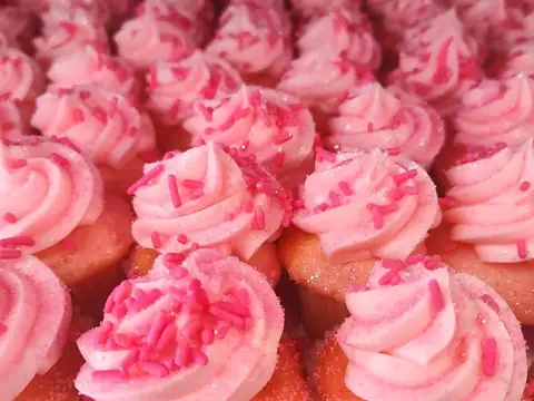Brittany's Cupcake Shoppe in Lake City, FL