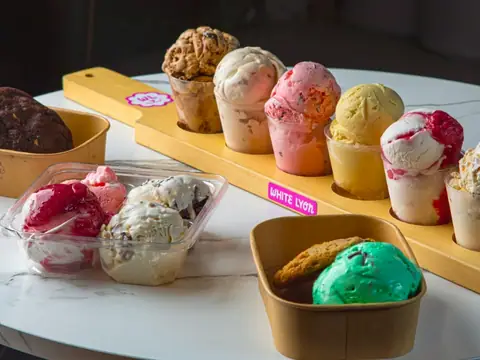 WHITE LYON handcrafted ice cream & cookies