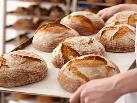 Mazziotti Bakery