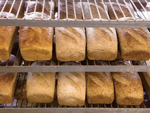 Great Harvest Bread Co.