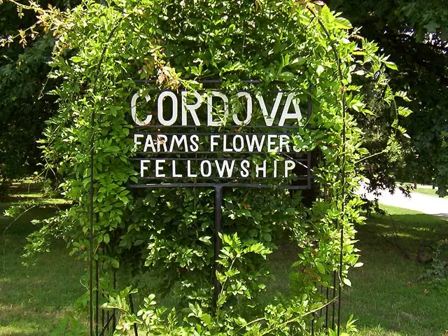 Cordova, Tennessee