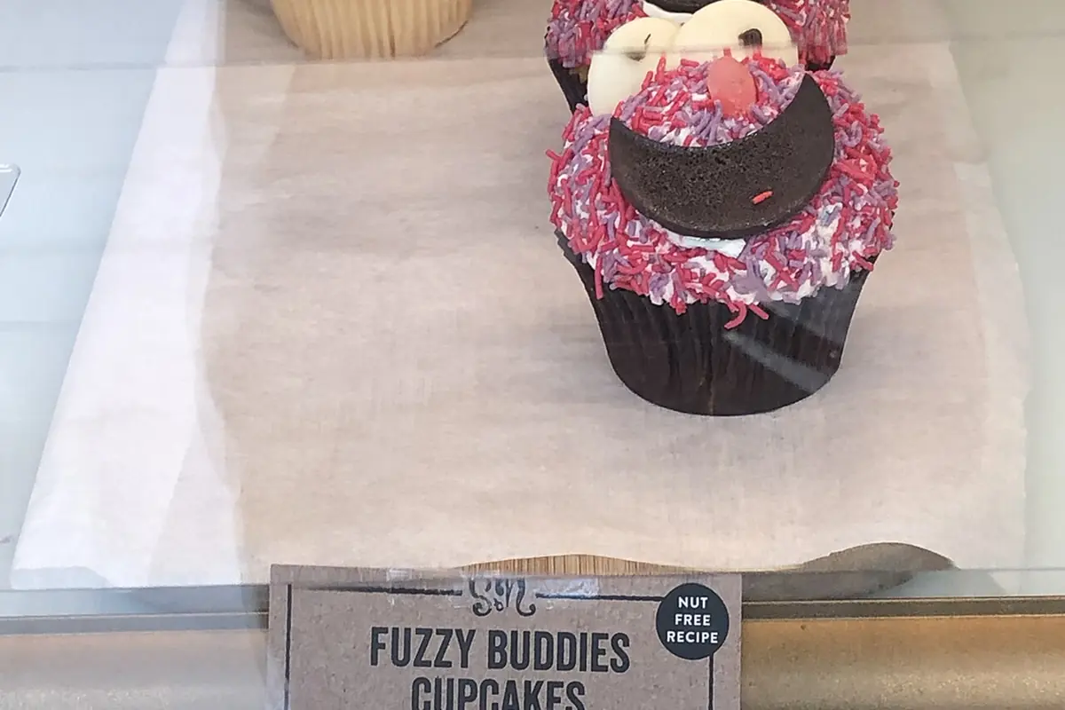 Two Fuzzy Buddies Cupcakes on Display At BonBons of Southland — illustrative photo