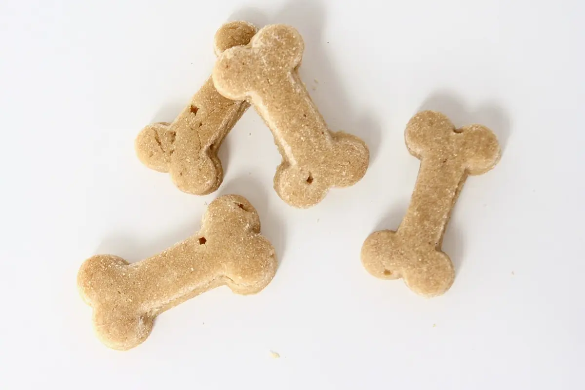 Dog Treats (51049057473) — illustrative photo